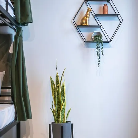 Mandera's Boutique & Dorms Pensión La Valeta