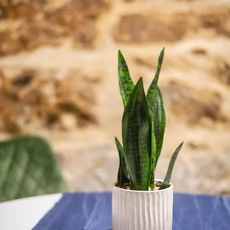 Mandera's Boutique & Dorms