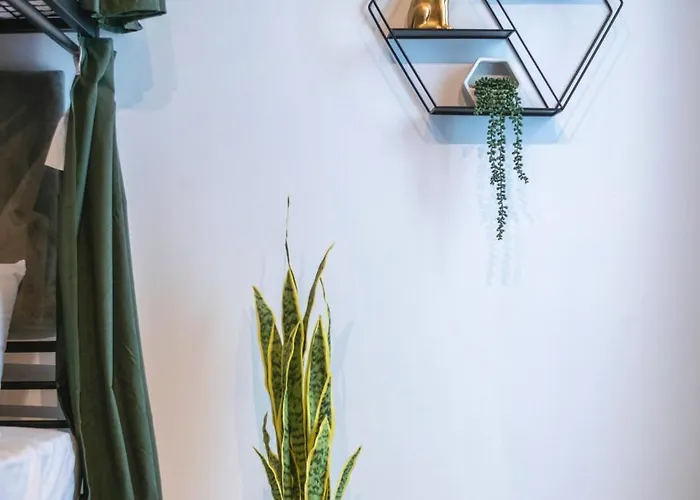 Mandera's Boutique & Dorms Πανσιόν Βαλέτα